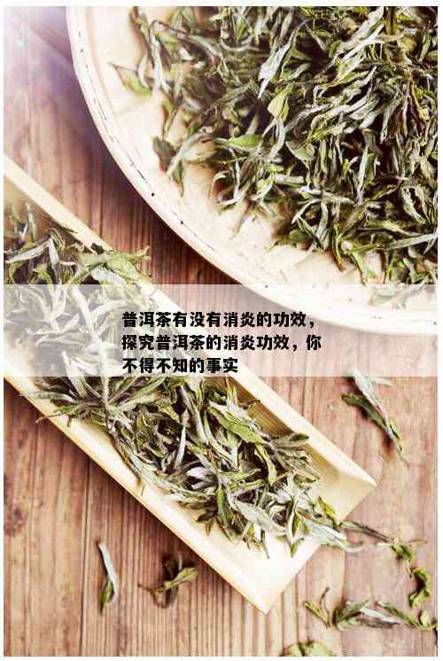 普洱茶有没有消炎的功效，探究普洱茶的消炎功效，你不得不知的事实