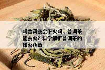 喝普洱茶会下火吗，普洱茶能去火？科学解析普洱茶的降火功效