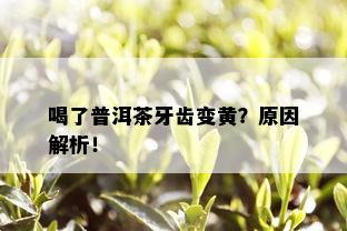 喝了普洱茶牙齿变黄？原因解析！