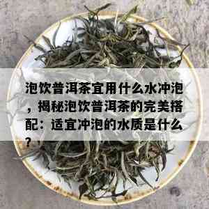 泡饮普洱茶宜用什么水冲泡，揭秘泡饮普洱茶的完美搭配：适宜冲泡的水质是什么？