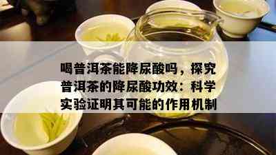 喝普洱茶能降尿酸吗，探究普洱茶的降尿酸功效：科学实验证明其可能的作用机制