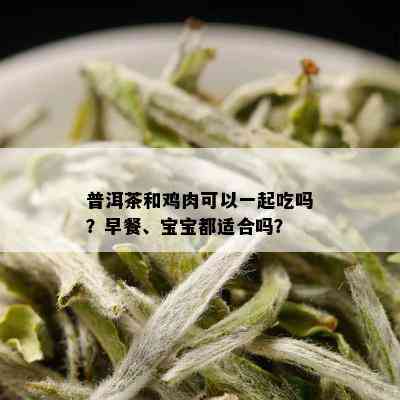 普洱茶和鸡肉可以一起吃吗？早餐、宝宝都适合吗？