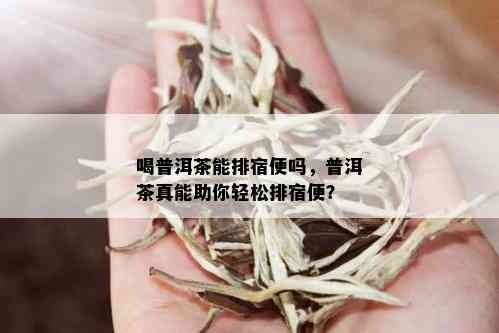 喝普洱茶能排宿便吗，普洱茶真能助你轻松排宿便？