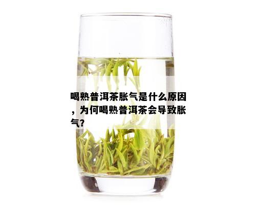 喝熟普洱茶胀气是什么原因，为何喝熟普洱茶会导致胀气？