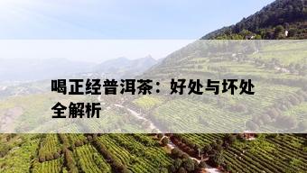 喝正经普洱茶：好处与坏处全解析