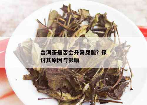 普洱茶是否会升高尿酸？探讨其原因与影响