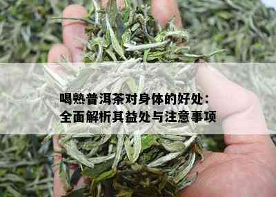 喝熟普洱茶对身体的好处：全面解析其益处与注意事项