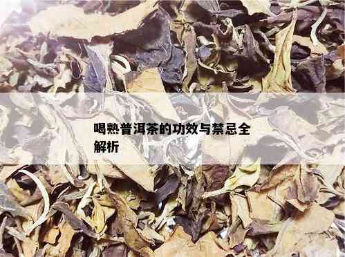 喝熟普洱茶的功效与禁忌全解析