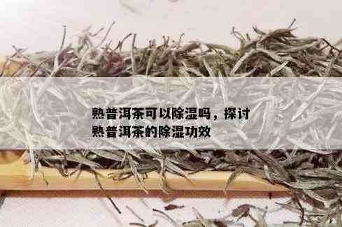 熟普洱茶可以除湿吗，探讨熟普洱茶的除湿功效