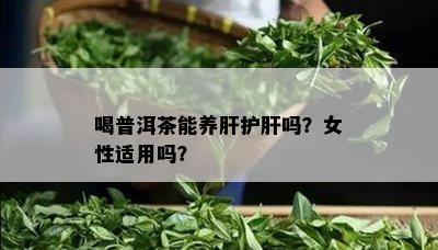 喝普洱茶能养肝护肝吗？女性适用吗？