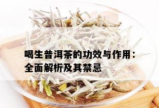 喝生普洱茶的功效与作用：全面解析及其禁忌