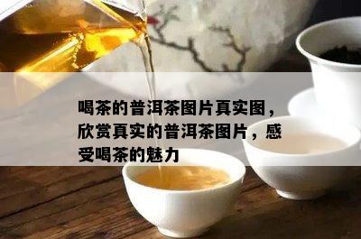 喝茶的普洱茶图片真实图，欣赏真实的普洱茶图片，感受喝茶的魅力