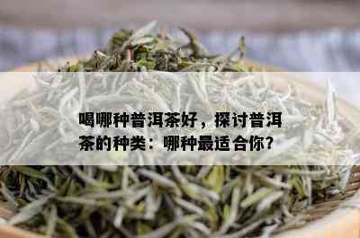 喝哪种普洱茶好，探讨普洱茶的种类：哪种最适合你？