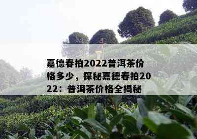 嘉德春拍2022普洱茶价格多少，探秘嘉德春拍2022：普洱茶价格全揭秘