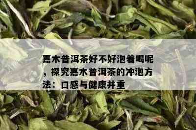 嘉木普洱茶好不好泡着喝呢，探究嘉木普洱茶的冲泡方法：口感与健康并重