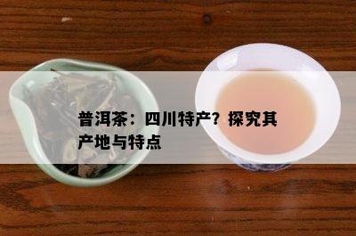 普洱茶：四川特产？探究其产地与特点