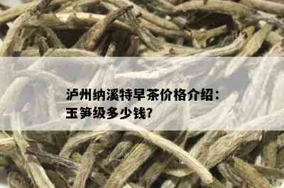 泸州纳溪特早茶价格介绍：玉笋级多少钱？