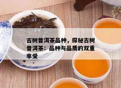 古树普洱茶品种，探秘古树普洱茶：品种与品质的双重享受