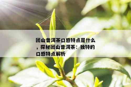 团山普洱茶口感特点是什么，探秘团山普洱茶：独特的口感特点解析