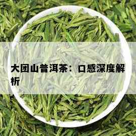 大团山普洱茶：口感深度解析