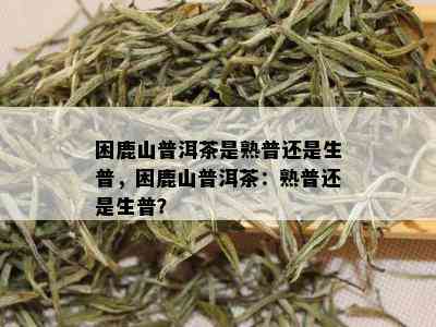 困鹿山普洱茶是熟普还是生普，困鹿山普洱茶：熟普还是生普？