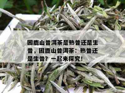 困鹿山普洱茶是熟普还是生普，困鹿山普洱茶：熟普还是生普？一起来探究！