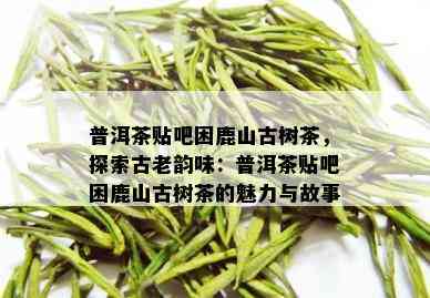 普洱茶贴吧困鹿山古树茶，探索古老韵味：普洱茶贴吧困鹿山古树茶的魅力与故事