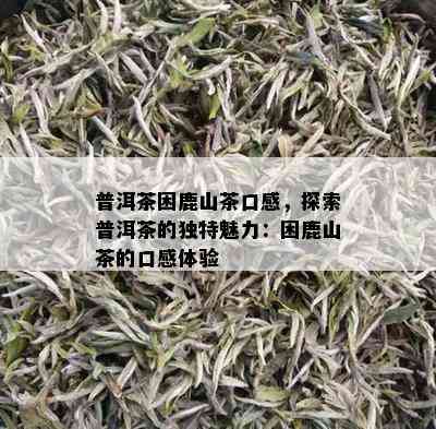 普洱茶困鹿山茶口感，探索普洱茶的独特魅力：困鹿山茶的口感体验