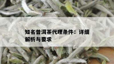 知名普洱茶代理条件：详细解析与要求