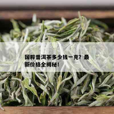 国粹普洱茶多少钱一克？最新价格全揭秘！