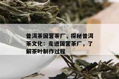 普洱茶国营茶厂，探秘普洱茶文化：走进国营茶厂，了解茶叶制作过程