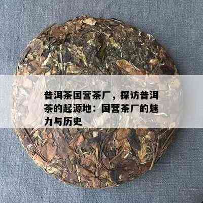 普洱茶国营茶厂，探访普洱茶的起源地：国营茶厂的魅力与历史