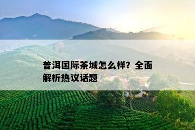 普洱国际茶城怎么样？全面解析热议话题