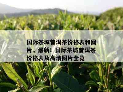 国际茶城普洱茶价格表和图片，最新！国际茶城普洱茶价格表及高清图片全览