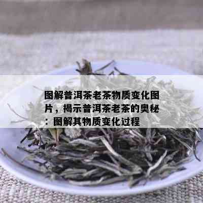 图解普洱茶老茶物质变化图片，揭示普洱茶老茶的奥秘：图解其物质变化过程