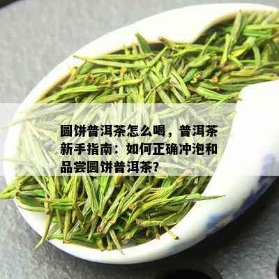 圆饼普洱茶怎么喝，普洱茶新手指南：如何正确冲泡和品尝圆饼普洱茶？