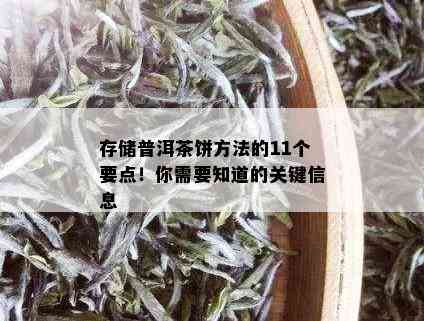 存储普洱茶饼方法的11个要点！你需要知道的关键信息