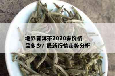 地界普洱茶2020春价格是多少？最新行情走势分析