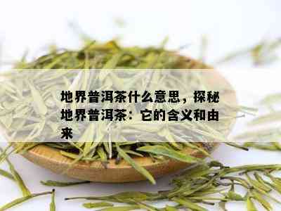 地界普洱茶什么意思，探秘地界普洱茶：它的含义和由来