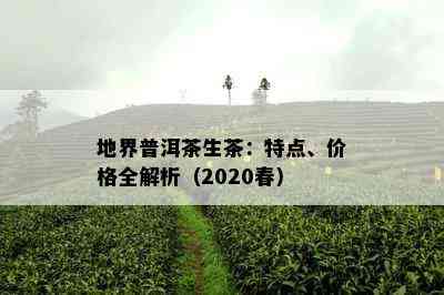 地界普洱茶生茶：特点、价格全解析（2020春）