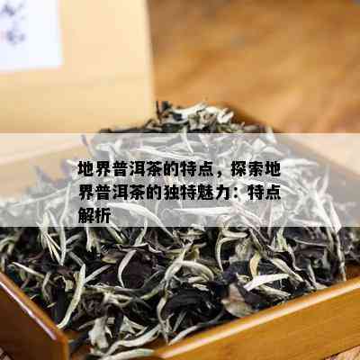 地界普洱茶的特点，探索地界普洱茶的独特魅力：特点解析