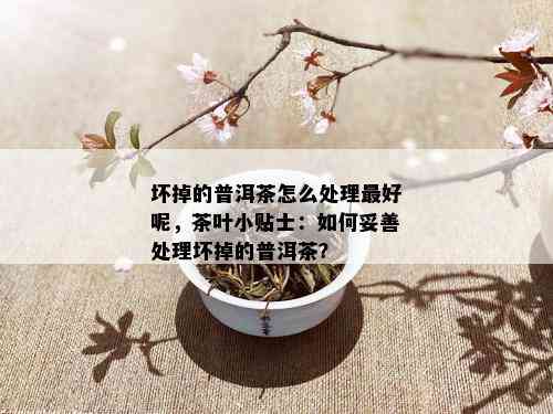 坏掉的普洱茶怎么处理更好呢，茶叶小贴士：如何妥善处理坏掉的普洱茶？