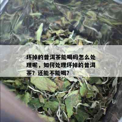 坏掉的普洱茶能喝吗怎么处理呢，如何处理坏掉的普洱茶？还能不能喝？