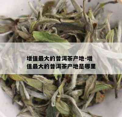 增值更大的普洱茶产地-增值更大的普洱茶产地是哪里