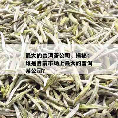 更大的普洱茶公司，揭秘：谁是目前市场上更大的普洱茶公司？