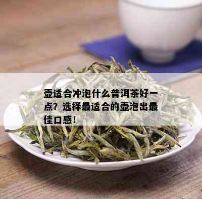 壶适合冲泡什么普洱茶好一点？选择最适合的壶泡出更佳口感！