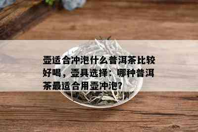 壶适合冲泡什么普洱茶比较好喝，壶具选择：哪种普洱茶最适合用壶冲泡？