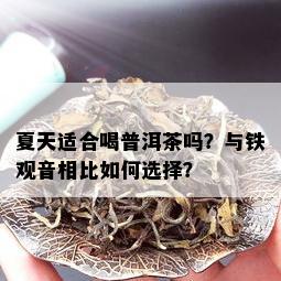 夏天适合喝普洱茶吗？与铁观音相比如何选择？