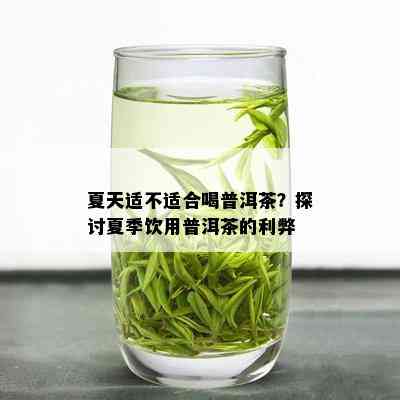 夏天适不适合喝普洱茶？探讨夏季饮用普洱茶的利弊