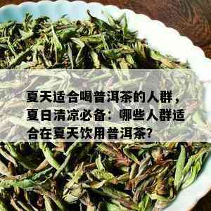 夏天适合喝普洱茶的人群，夏日清凉必备：哪些人群适合在夏天饮用普洱茶？